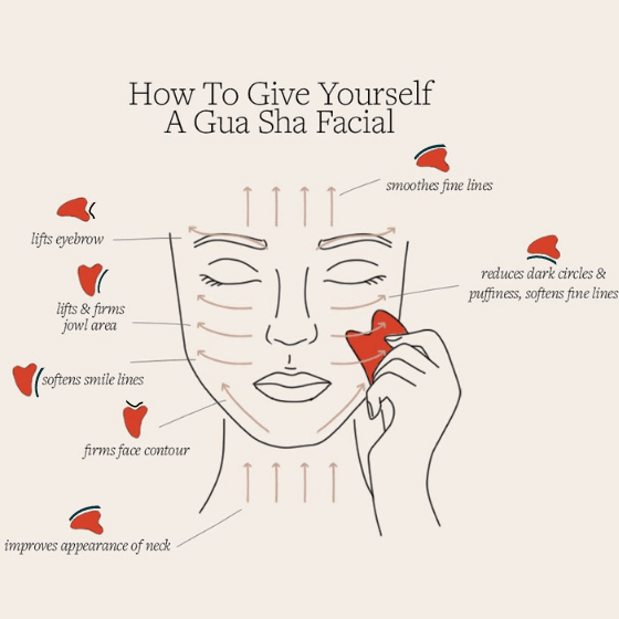 Authentic Guasha Stainless Steel Tool For Skin
